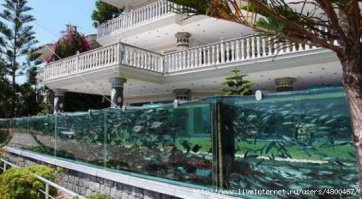 Оригинальные заборы