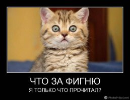 Японская история