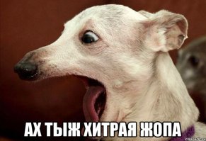 Как я жену поздравил с 1 апреля