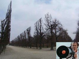 Обрезали случайно не так?...