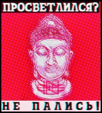 Тут Волка из "Ну погоди!" расчехлили, говорят, отставной капитан ГРУ 