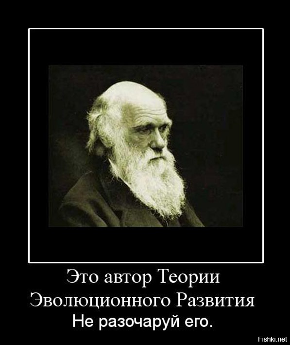 Автор это. Демотиватор премия Дарвина. Теория Дарвина наоборот. Теория эволюции. Дарвин прикол.