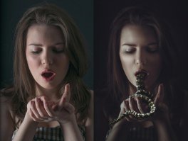 А точно изначально змея задумывалась?)))