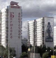 Бирюлёво Восто́чное — район в Москве, расположенный в Южном административном округе, и одноимённое внутригородское муниципальное образование. Около половины территории занимает уникальный дендропарк.

Район образован 5 июля 1995 года, ранее на его месте находился посёлок Бирюлёво, включённый в состав Москвы в 1960 году