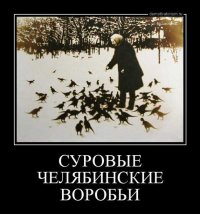 Как выглядят «голуби» в разных странах мира