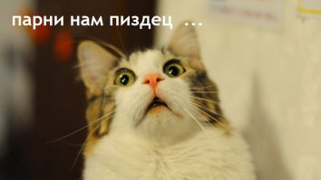 Учитесь женщины  