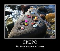 Невероятное - рыба Аллигатор