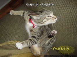 Мадам, я к вам!!!