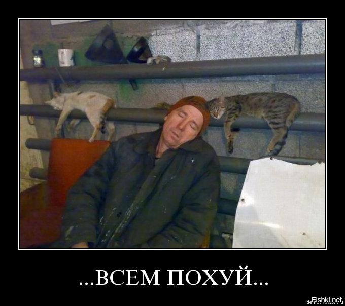 В эфире такого не увидишь: почему распался ПрожекторПерисХилтон