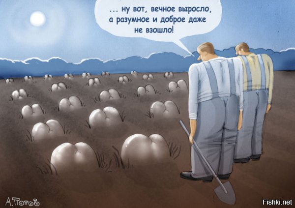 Главное - правильное посадить.