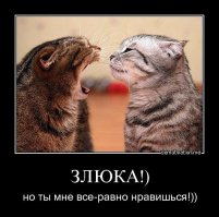 Картинки с надписями