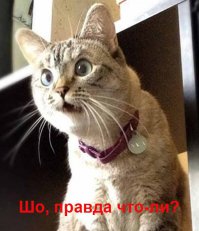 5 причин не выбрасывать чайные пакетики
