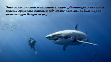 Убийцы