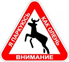 В нашу гавань заходили корабли: круизный лайнер врезался в пристань в Сан-Диего