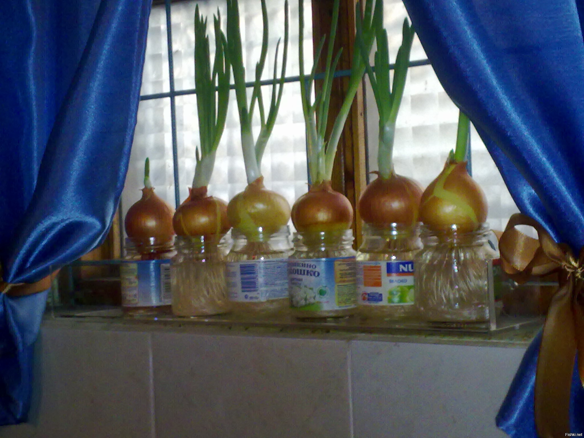 можно так ещё зимой себя побаловать: