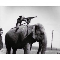 Боевой слон с пулемётом. 1914.