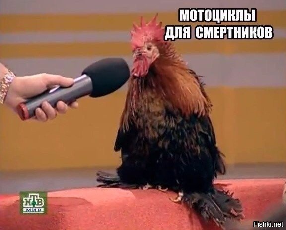 Ко всем автолюбителям Фишек!
