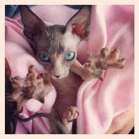 Мооояяааа прееелееестьь!!!