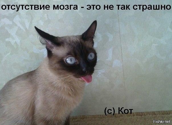Девушка 24 года жила без важного отдела головного мозга