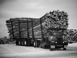 Грузоперевозки эконом класса