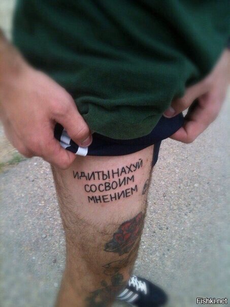 До и после: бездомные животные, которым не дали пропасть!
