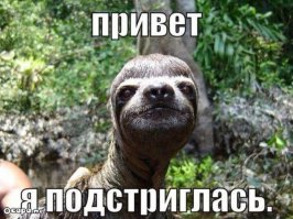 Повседневные женские несчастья, которых не понять мужчинам