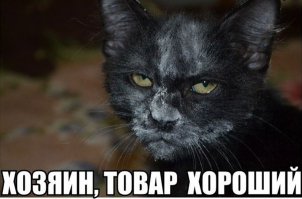 Доставка западного юмора прямым рейсом. Часть 7