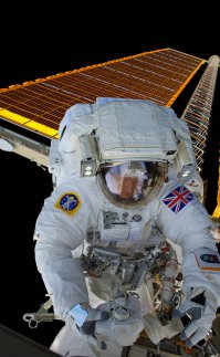 Интересно, зачем ему холодильник сзади? Если вдруг оторвётся, чтобы было перекусить в первое время? Так ведь дверца, всё равно со спины открывается.