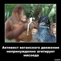 Подводные камни вегетарианства