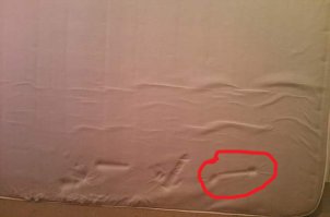 Хм... Зачем ей это???