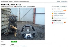 Это жиза, ребята!