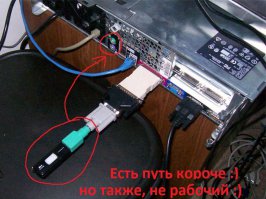 Люди, которые доказывают, что главное — это желание