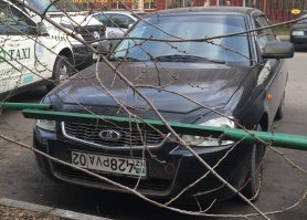 Алма-Ата и Алматинцы