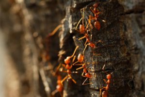 Видно там нет приличных ветров и друзей.:)