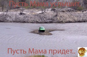 Свежая подборка автоприколов