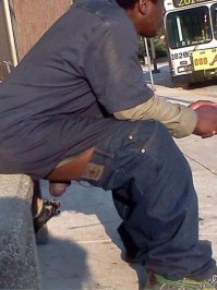 Котики, которых застали врасплох