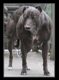 Подборка ужасно красивых фотографий