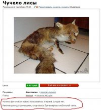 Приколы с Авито