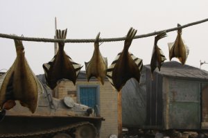 может и не он, но похожж....