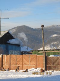 Субботняя подборка приколов