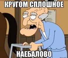 Разноцветные арбузы в Ленинградской области