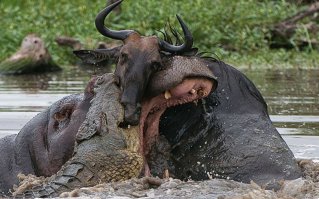 Подборка ужасно красивых фотографий