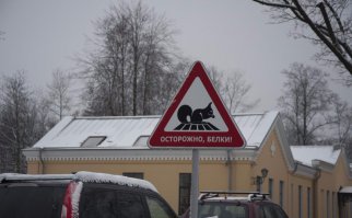 Этот знак стоит у Бизнес-центра "Бенуа" в Питере. И не просто так! Посмотрите видео там снятое. Коротенькое!