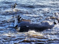 Всё это хорошо но во Аврора то новодел а настоящая вот она -