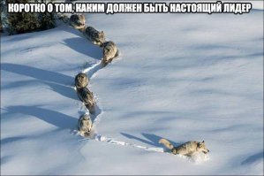 Картинки с надписями