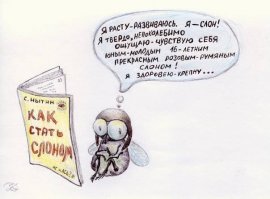 Комментарии и "баяны" из социальных сетей