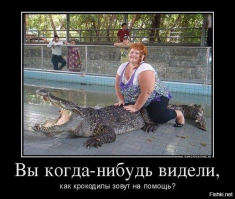 А ты смотрел демотиваторы?!