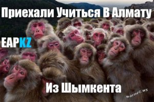 Алма-Ата и Алматинцы