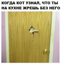 Heeeeere's Kitty!!