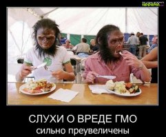 Опасно ли употреблять ГМО?